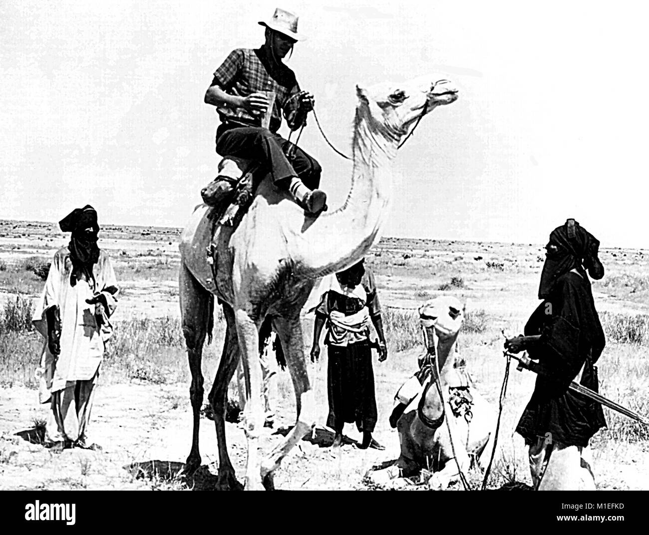 Image en noir et blanc illustrant quatre hommes et deux chameaux, trois hommes en vêtements d'Afrique, l'un tenant la tête d'un chameau, se tenir assis en demi-cercle autour de centres de contrôle des maladies (CDC) Operations Officer Anthony R. Masso qui monte un chameau dans le Niger, l'Afrique, au cours d'une épidémie de variole, 1975. Image courtoisie CDC. () Banque D'Images