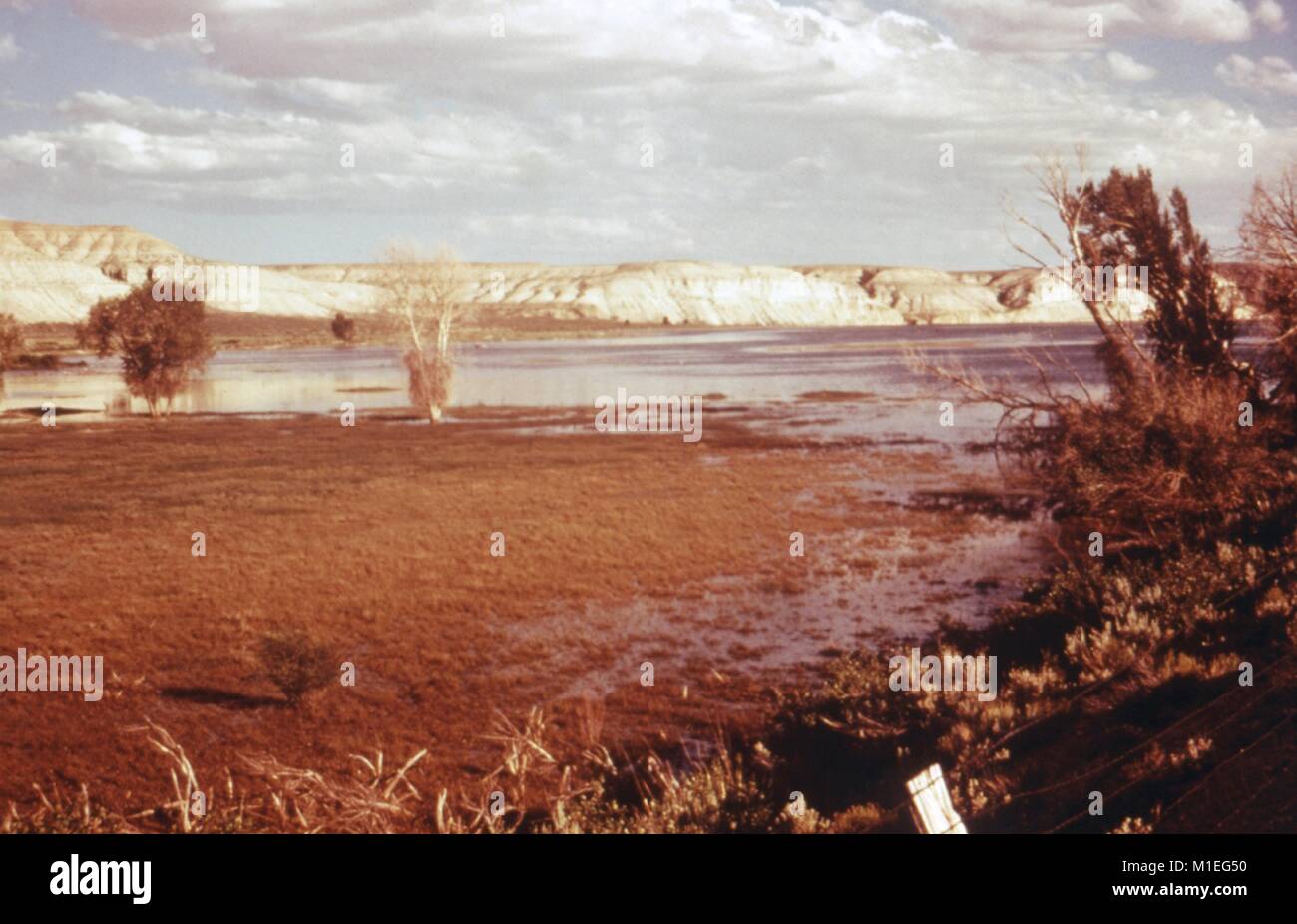 Photographie de paysage marécageux le bord d'un lac réservoir, situé dans une zone herbeuse avec des arbustes et des falaises blanches visibles, prises dans le cadre d'une enquête sur les maladies à transmission vectorielle, Fontanelle, réservoir du Wyoming, 1976, 1976. () Banque D'Images Photographie de paysage marécageux le bord d'un lac réservoir, situé dans une zone herbeuse avec des arbustes et des falaises blanches visibles, prises dans le cadre d'une enquête sur les maladies à transmission vectorielle, Fontanelle, réservoir du Wyoming, 1976, 1976. () Banque D'Images