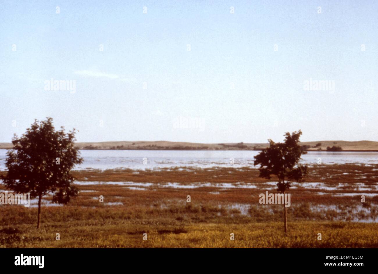 Photographie de paysage marécageux le bord d'un lac situé dans un espace vert, avec deux arbres visible dans l'avant-plan et les collines au loin en arrière-plan, pris dans le cadre d'une enquête sur les maladies transmises par vecteur, Harlan County, New York, 1976, 1976. Image courtoisie CDC. () Banque D'Images Photographie de paysage marécageux le bord d'un lac situé dans un espace vert, avec deux arbres visible dans l'avant-plan et les collines au loin en arrière-plan, pris dans le cadre d'une enquête sur les maladies transmises par vecteur, Harlan County, New York, 1976, 1976. Image courtoisie CDC. () Banque D'Images