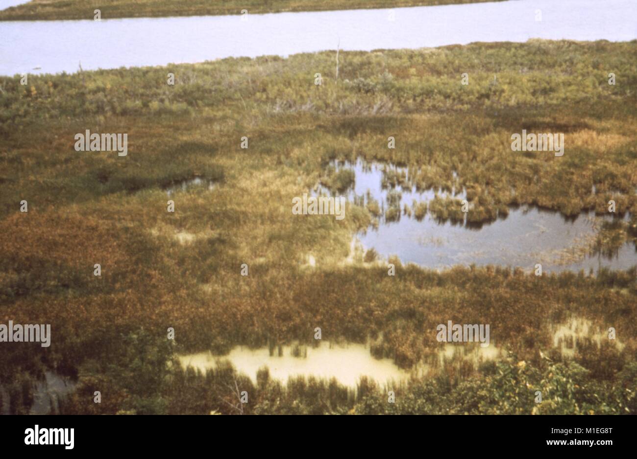 Photographie de paysage d'une petite piscine dans un marais formé par la fuite d'un lac réservoir, Lewis et Clark Lake, Santee, Nebraska, 1976. Image courtoisie CDC. () Banque D'Images