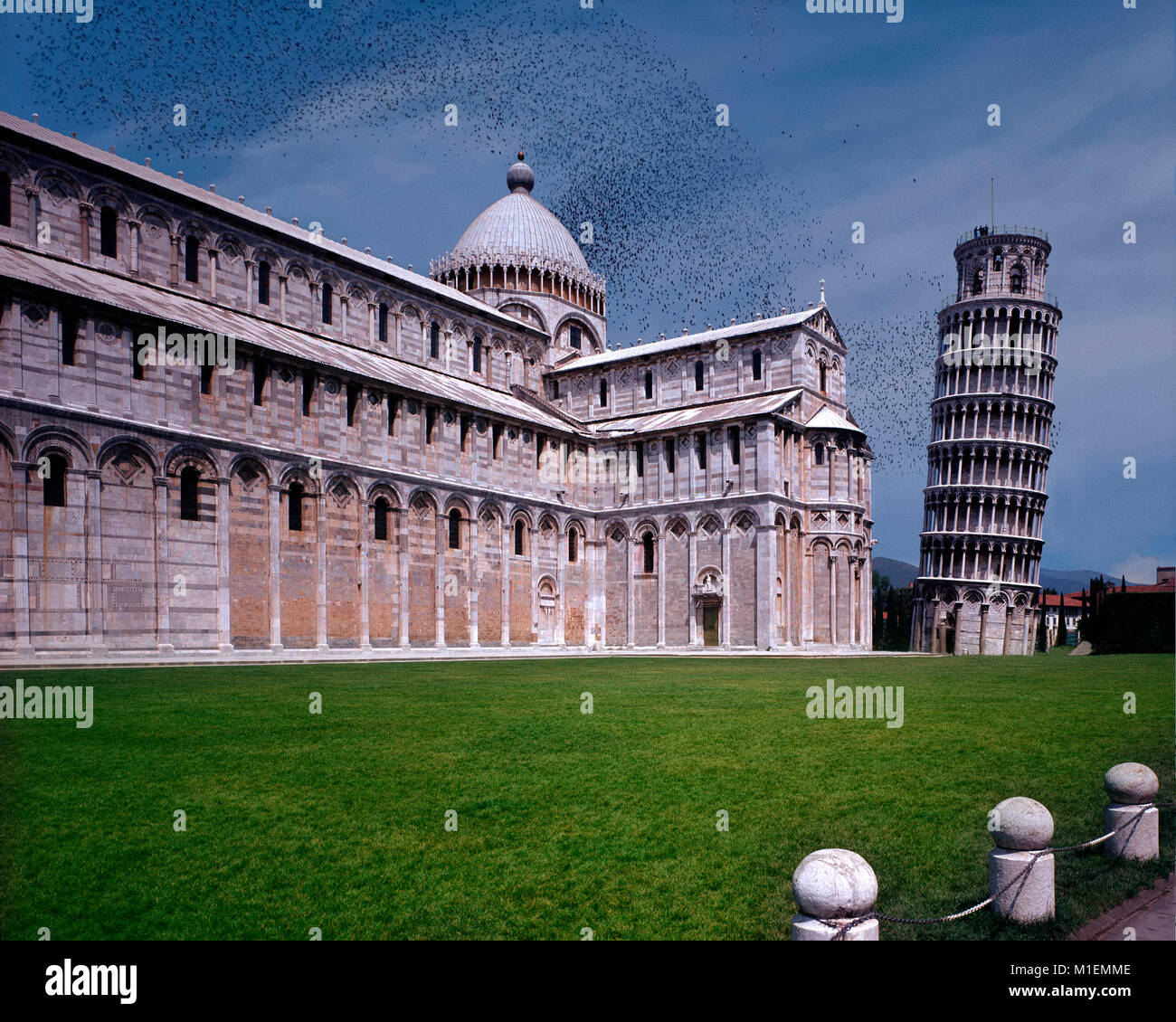 Il - Toscane : Tour de Pise Banque D'Images