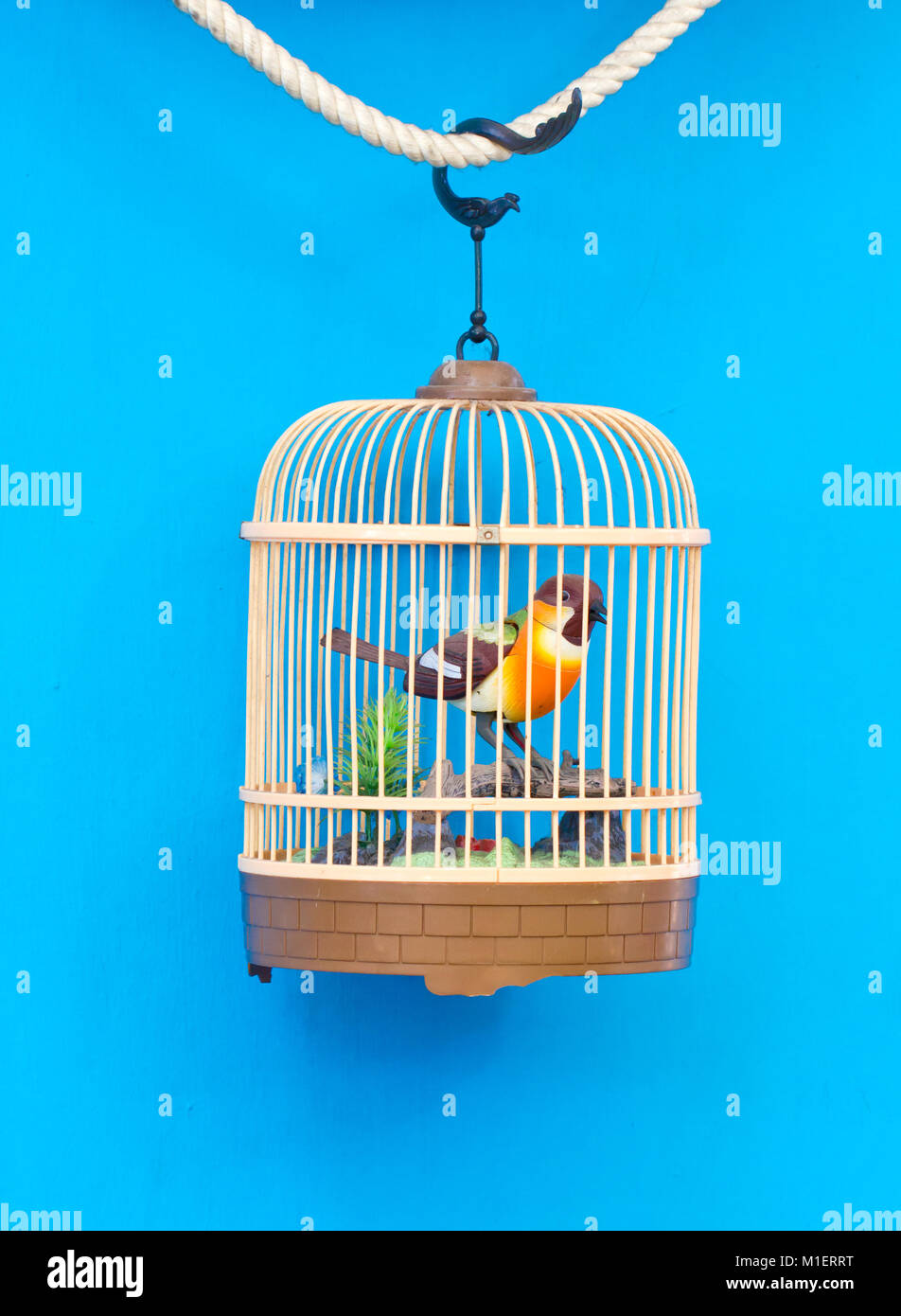 Volière avec des oiseaux colorés isolé sur bleu. Banque D'Images