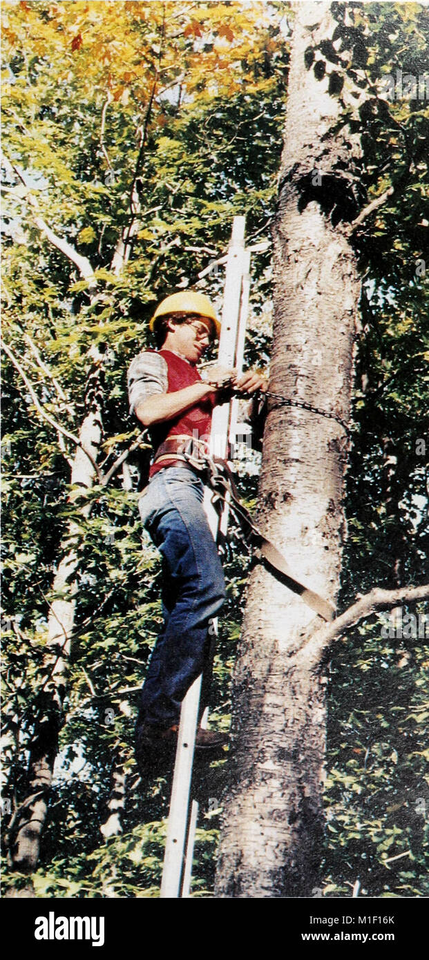 Un rapport décrivant le programme de recherche national des États-Unis sur les forêts et les parcours de 1980 à 1990, axé sur la gestion durable et les pratiques de conservation. Banque D'Images