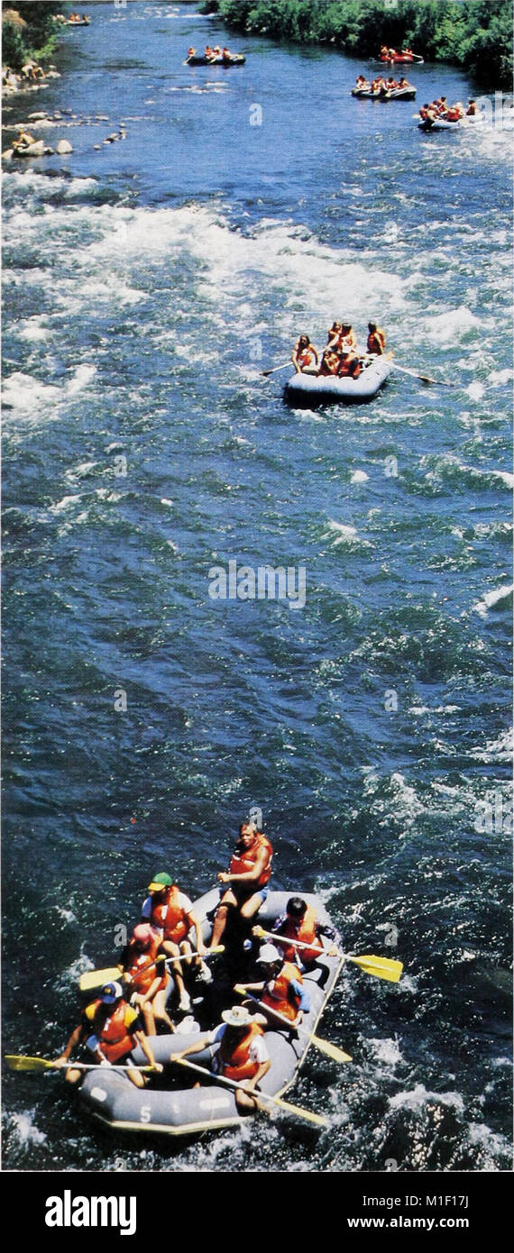 1980-1990 Programme national de recherche pour les forêts et les pâturages. - (1982) (19952056813) Banque D'Images