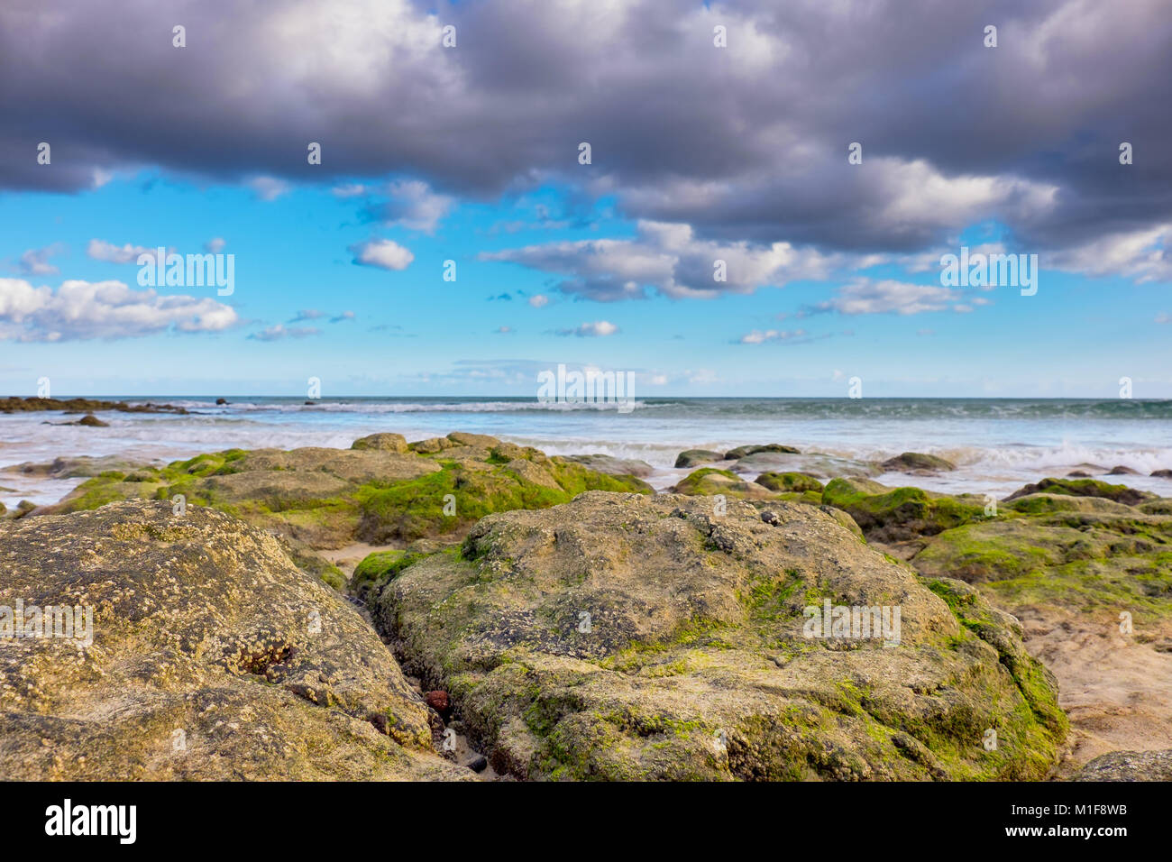 Les rochers sur le bord de la mer sont couverts d'algues à marée basse Banque D'Images