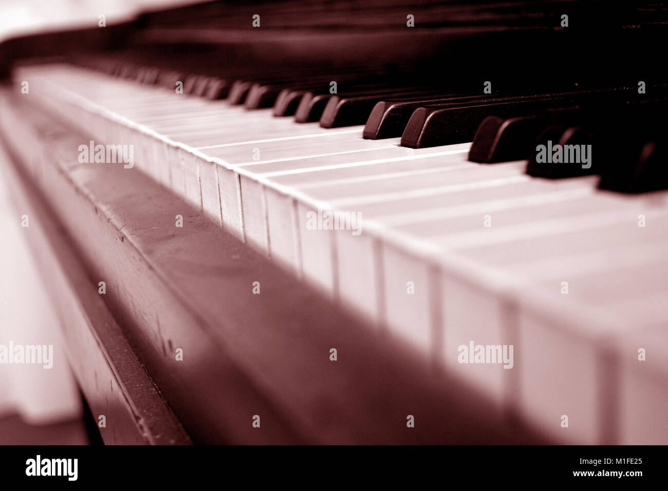 Portrait Of Piano Keys Banque D'Images