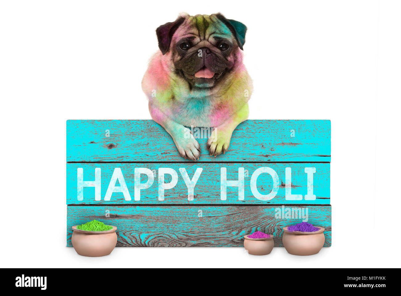 Festival de couleurs superbe chiot pug dog, couvert de poudre de couleur, suspendu à signer avec happy Holi, isolé sur fond blanc Banque D'Images