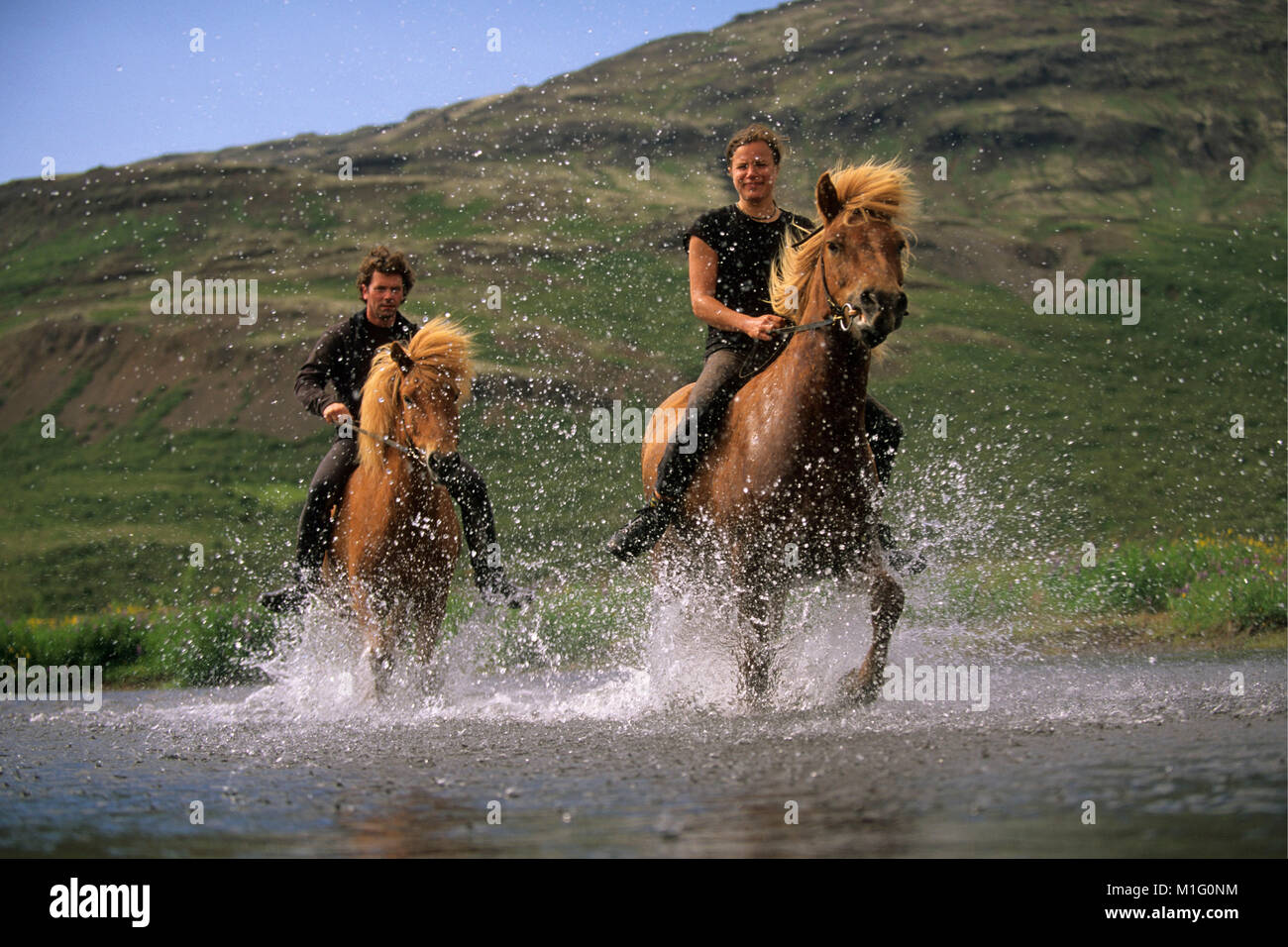 L'Islande. Geysir. Couple riding chevaux Islandais à travers un ruisseau. Banque D'Images