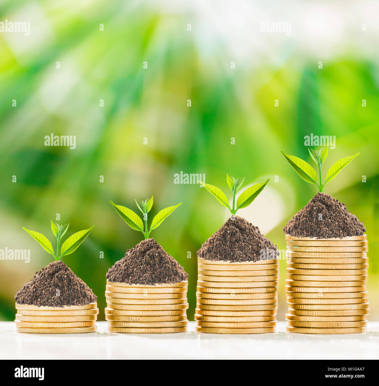 La croissance des arbres dans des pièces d'or avec de la nature, concept d'entreprise. Banque D'Images