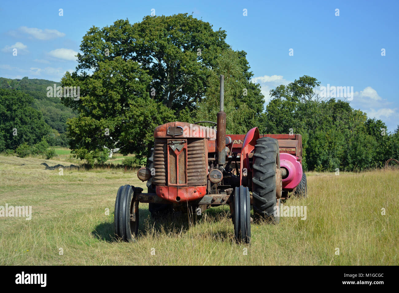 Massey Ferguson MF65 et New Holland ramasseuse-presse Banque D'Images