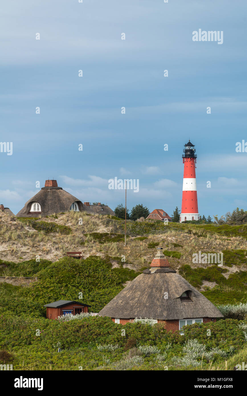 Maisons de vacances sur les dunes du sud de l'île de Sylt, la richesse et la beauté, Hörnum phare, Hoernum, Sylt, Schleswig-Holstein, Allemagne, Europe Banque D'Images