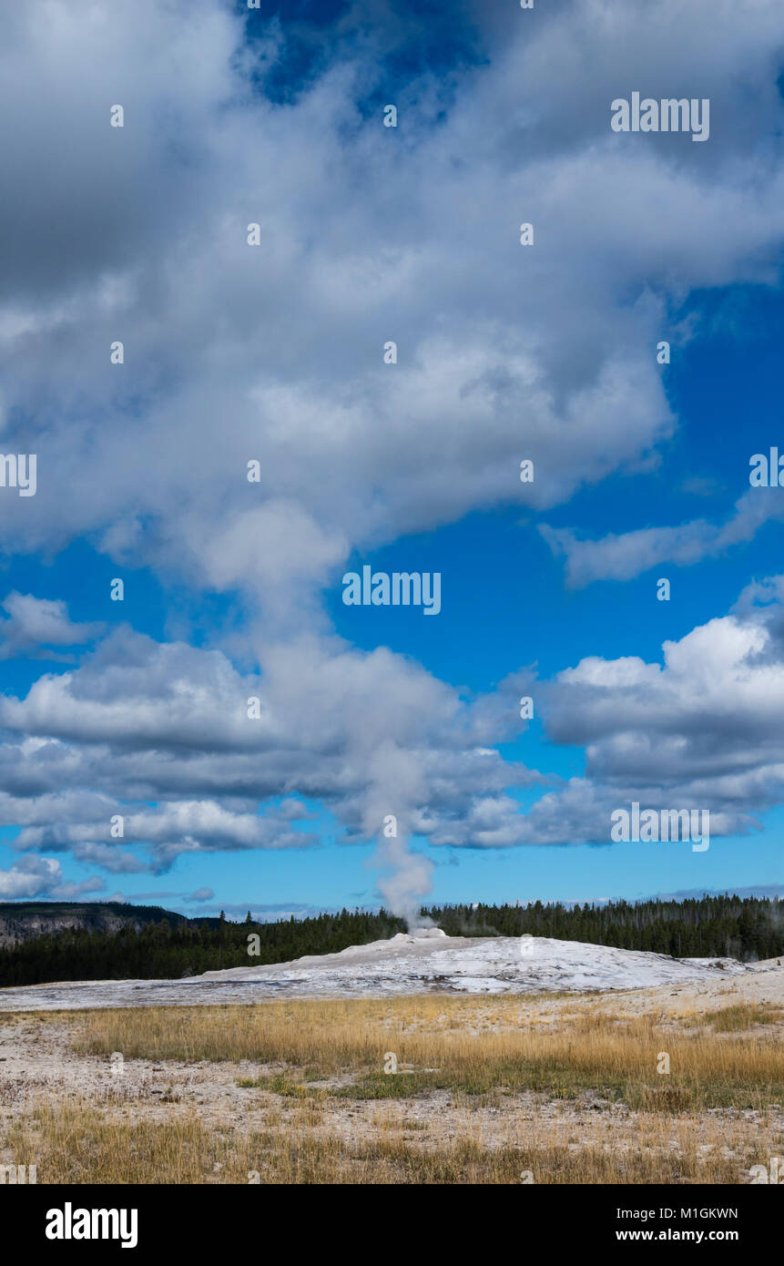 Panache de vapeur à Old Faithful Geyser sous un ciel bleu avec des nuages blancs, upper geyser basin. Le Parc National de Yellowstone, Wyoming, USA Banque D'Images