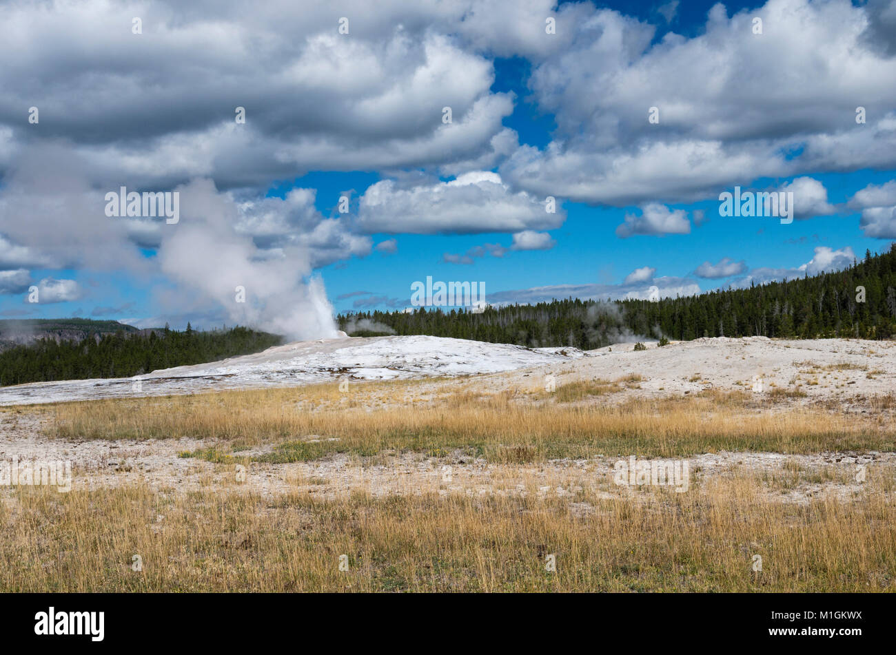 Au début d'une éruption du geyser Old Faithful. Le Parc National de Yellowstone, Wyoming, USA Banque D'Images