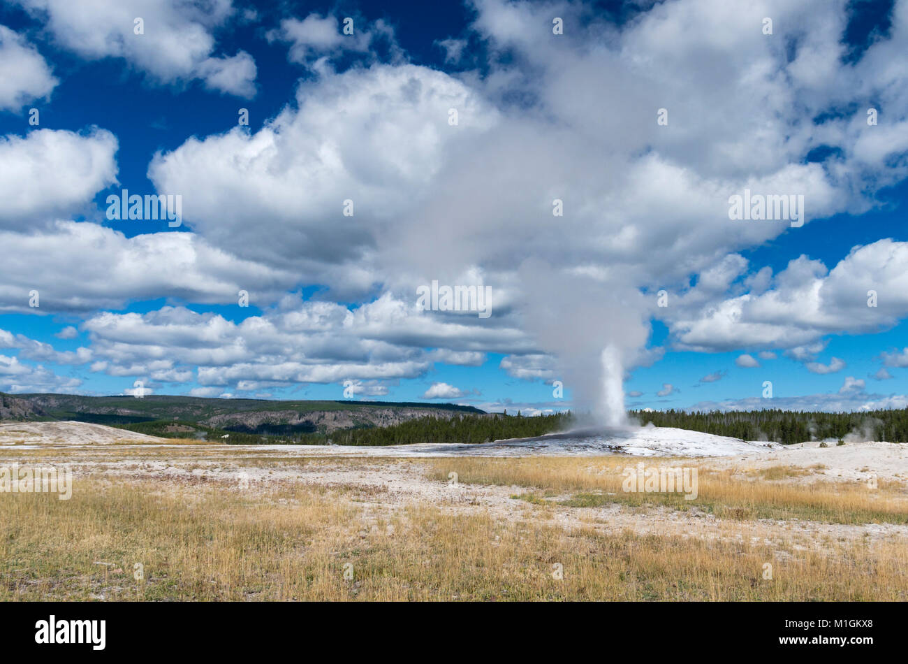 Au début d'une éruption du geyser Old Faithful. Le Parc National de Yellowstone, Wyoming, USA Banque D'Images