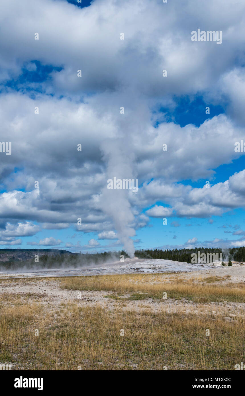 Panache de vapeur et de l'eau jaillissant d'Old Faithful Geyser. Le Parc National de Yellowstone, Wyoming, USA Banque D'Images