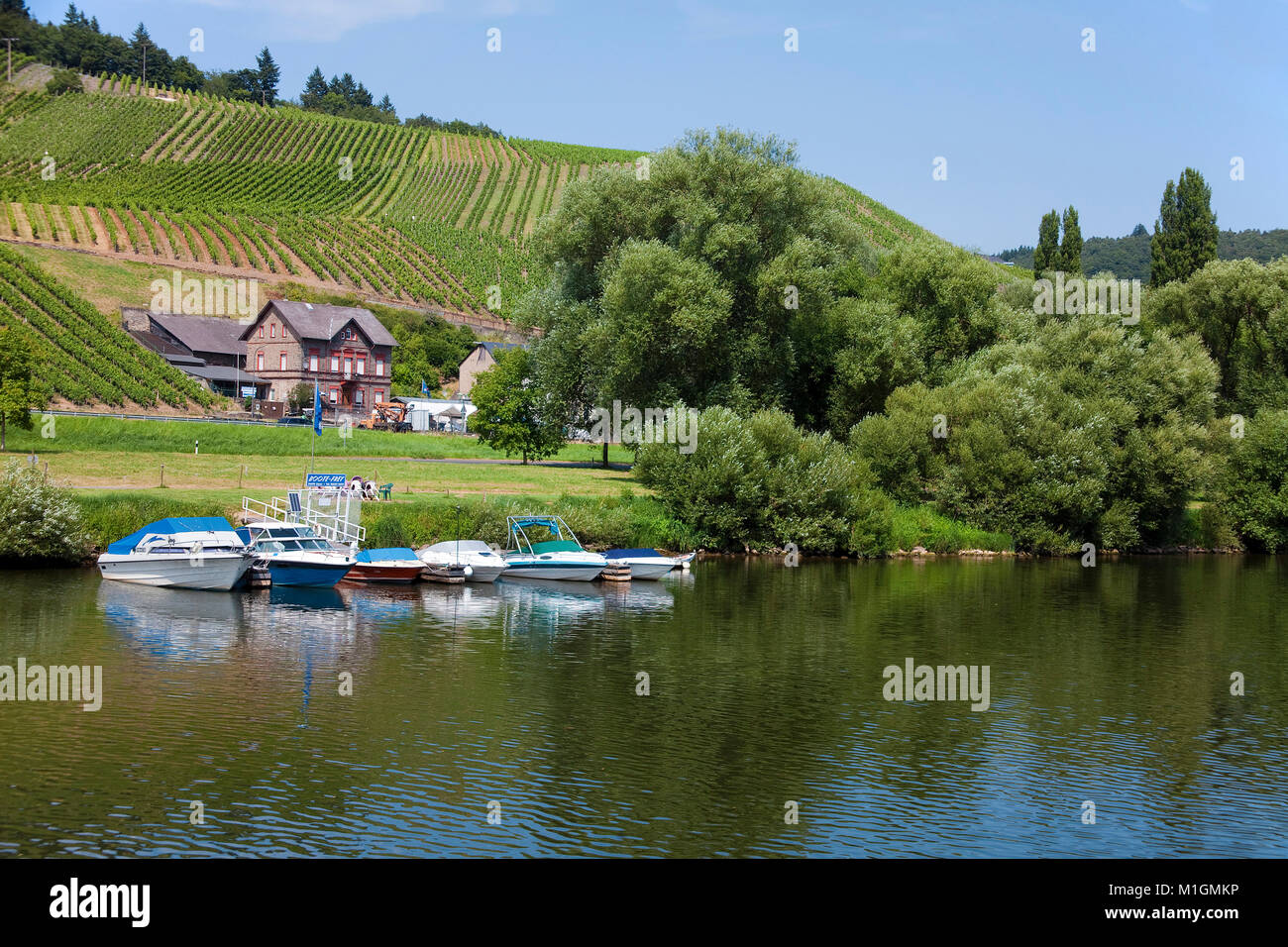 Location de bateaux, bateaux à moteur à l'embarcadère, Lieser, Moselle, Rhénanie-Palatinat, Allemagne, Europe Banque D'Images