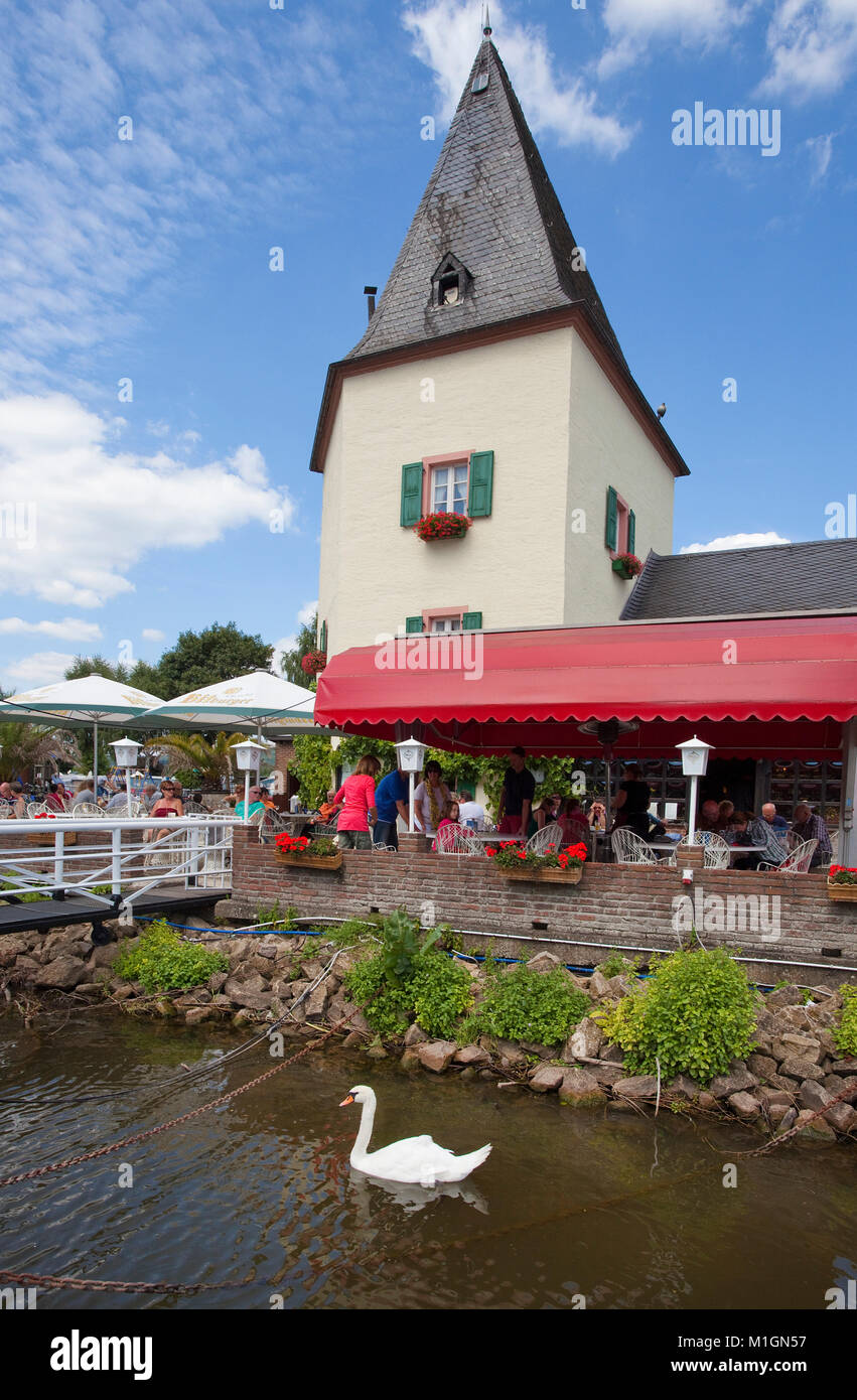 Vieille tour de ferry, monument de la Moselle, à l'extérieur du village Bullay gastronomie, Moselle, Rhénanie-Palatinat, Allemagne, Europe Banque D'Images