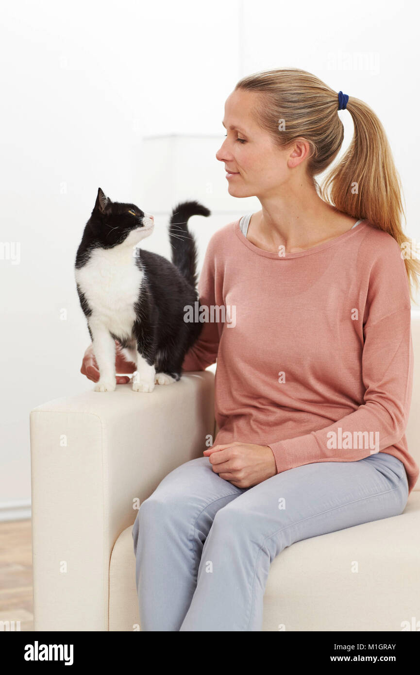 Chat domestique. Les jeunes et adultes de smoking femme assise sur un canapé blanc. Allemagne Banque D'Images