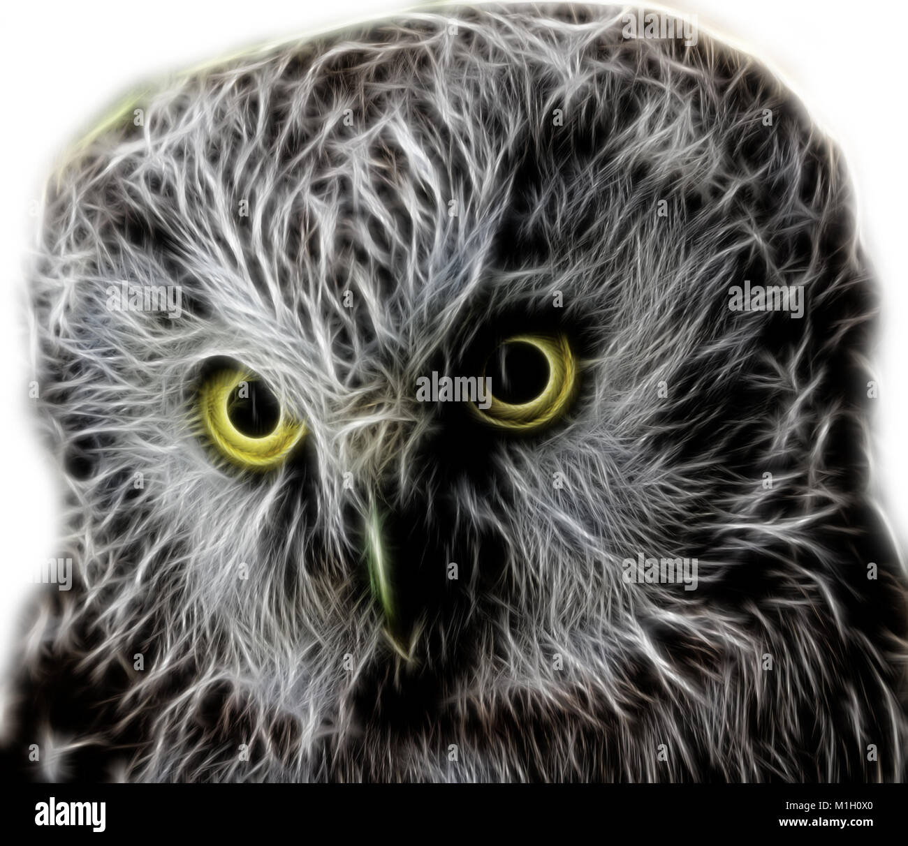 Abstract fractal fond clair. Chouette chouette, Fractale, portrait de Minerve d'oiseaux, l'Owl Nebula Banque D'Images