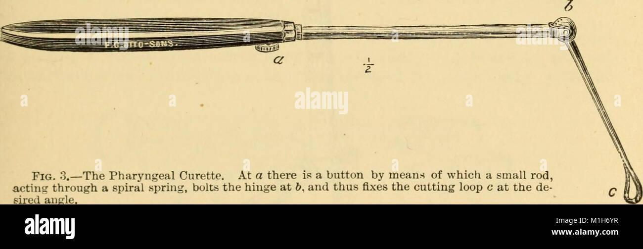 Un manuel des maladies de la gorge et le nez - y compris le pharynx, le larynx, la trachée, l'œsophage, du nez et du pharynx-naso (1880) (14802709943) Banque D'Images