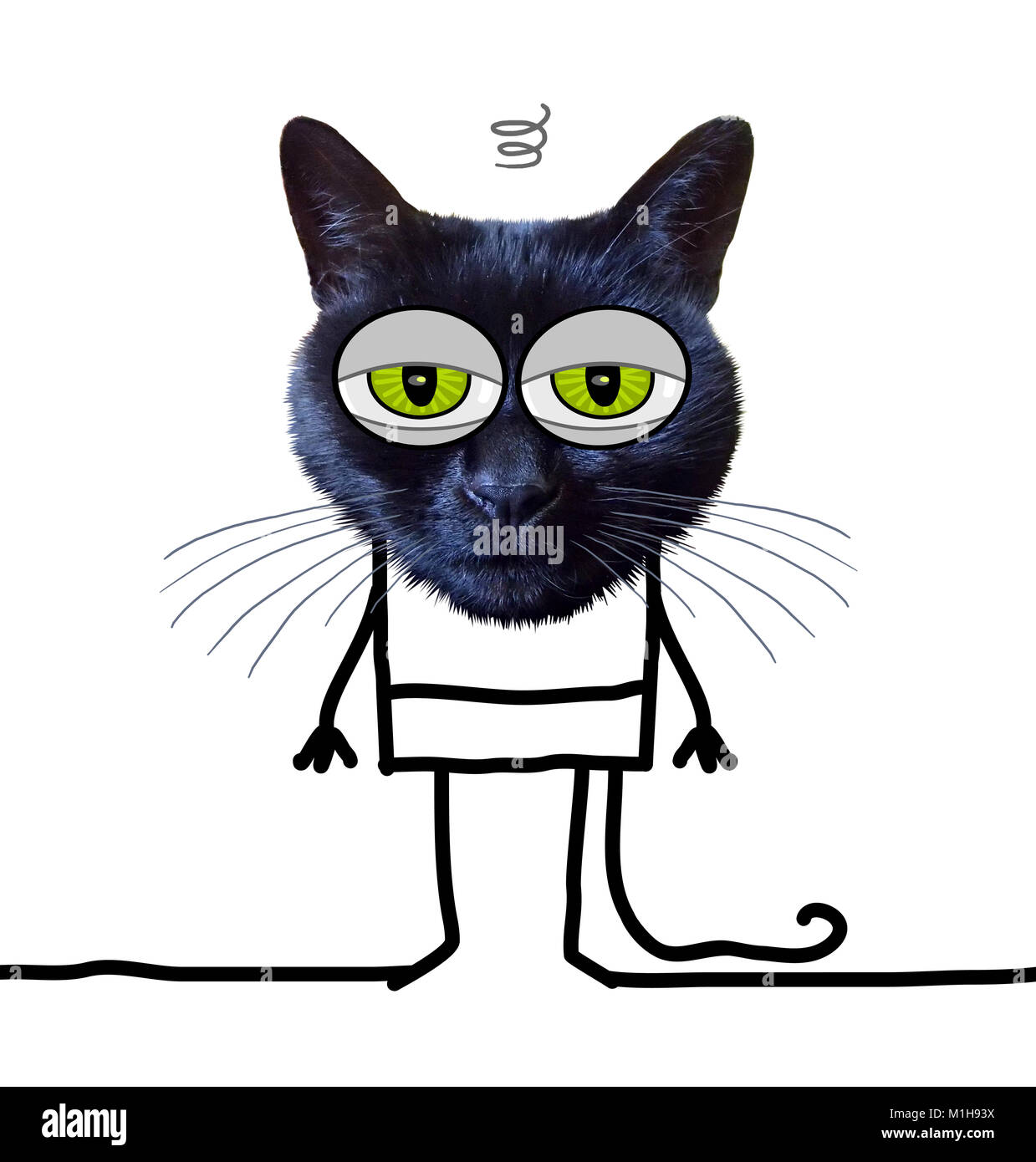 Cartoon funny cat Banque de photographies et d'images à haute résolution -  Alamy