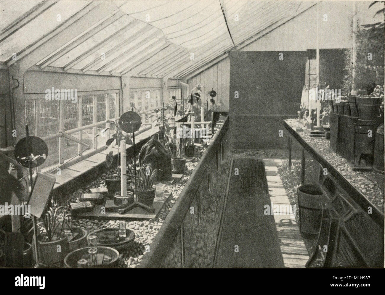 Un cours de laboratoire en physiologie végétale, en particulier en tant que base de l'écologie, (1901) (14589637838) Banque D'Images