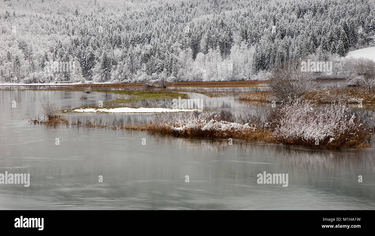 Paysage d'hiver avec l'arrière-plan et le lac Le lac de Cerknica, arbres enneigés, Slovénie Banque D'Images