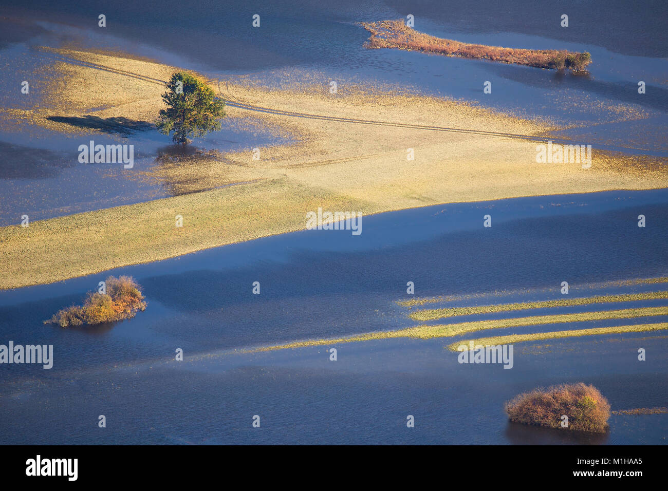 Des inondations en automne - le débordement de la rivière Valley- zones inondées par l'eau de Planinsko polje, Slovénie Banque D'Images