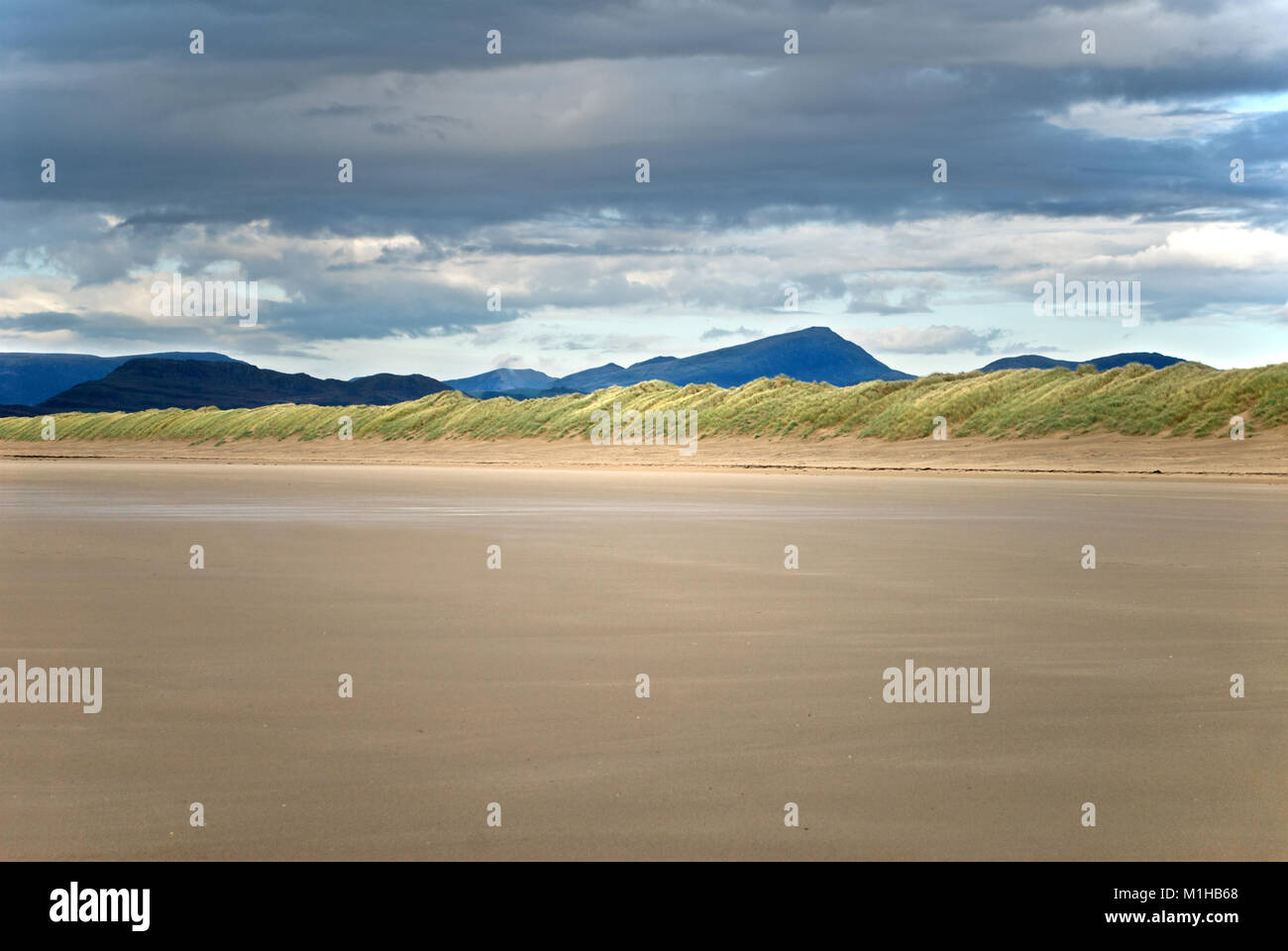 Morfa Harlech est un vaste système de dunes de sable près de Harlech, dans le Nord du Pays de Galles. Il est Réserve naturelle nationale dans le parc national de Snowdonia. Banque D'Images