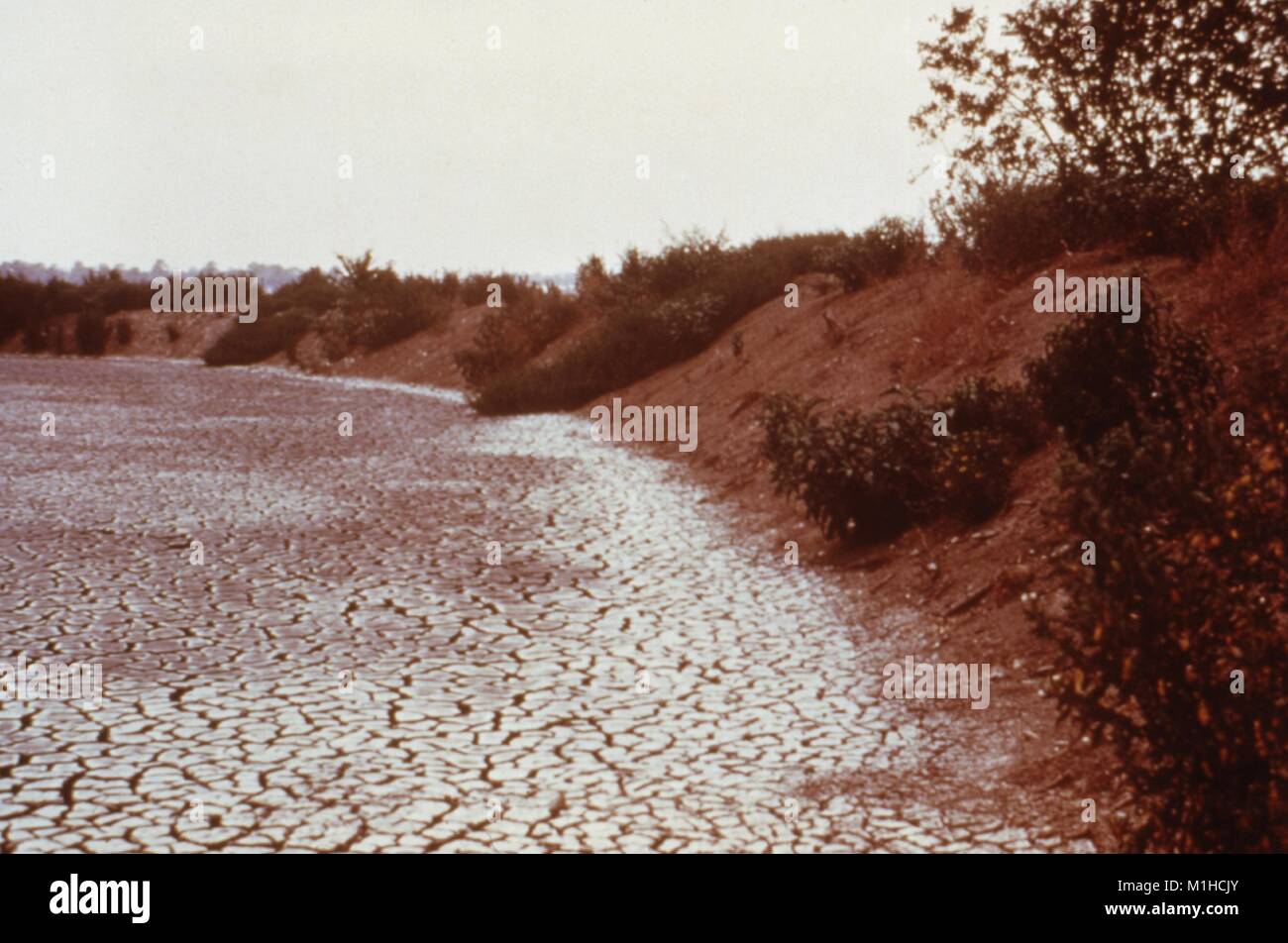 Photographie d'mudcracks formé sur les sédiments qui utilisé pour être rempli avec de l'eau qui a eu lieu par la digue sur le côté, un site pertinent pour l'enquête du CDC de maladies transmises par vecteur dans l'évolution des ressources en eau, 1976. Image courtoisie CDC. () Banque D'Images Photographie d'mudcracks formé sur les sédiments qui utilisé pour être rempli avec de l'eau qui a eu lieu par la digue sur le côté, un site pertinent pour l'enquête du CDC de maladies transmises par vecteur dans l'évolution des ressources en eau, 1976. Image courtoisie CDC. () Banque D'Images