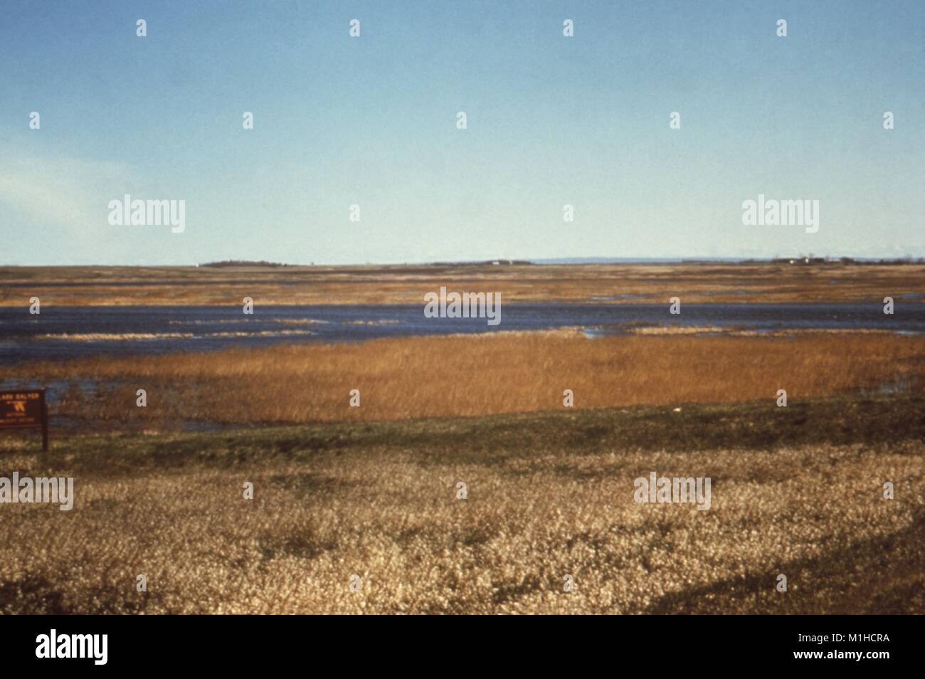 Photographie d'un paysage composé d'une rivière avec Reed et de prairies autour, ciel bleu clair au-dessus et un signe, à J. Clark Salyer National Wildlife Refuge, au large de la rivière Souris au Dakota du Nord, un emplacement pour une enquête sur la réduction au minimum des CDC les risques associés aux maladies transmises par vecteur autour de l'évolution des ressources en eau, 1976. Image courtoisie CDC. () Banque D'Images Photographie d'un paysage composé d'une rivière avec Reed et de prairies autour, ciel bleu clair au-dessus et un signe, à J. Clark Salyer National Wildlife Refuge, au large de la rivière Souris au Dakota du Nord, un emplacement pour une enquête sur la réduction au minimum des CDC les risques associés aux maladies transmises par vecteur autour de l'évolution des ressources en eau, 1976. Image courtoisie CDC. () Banque D'Images