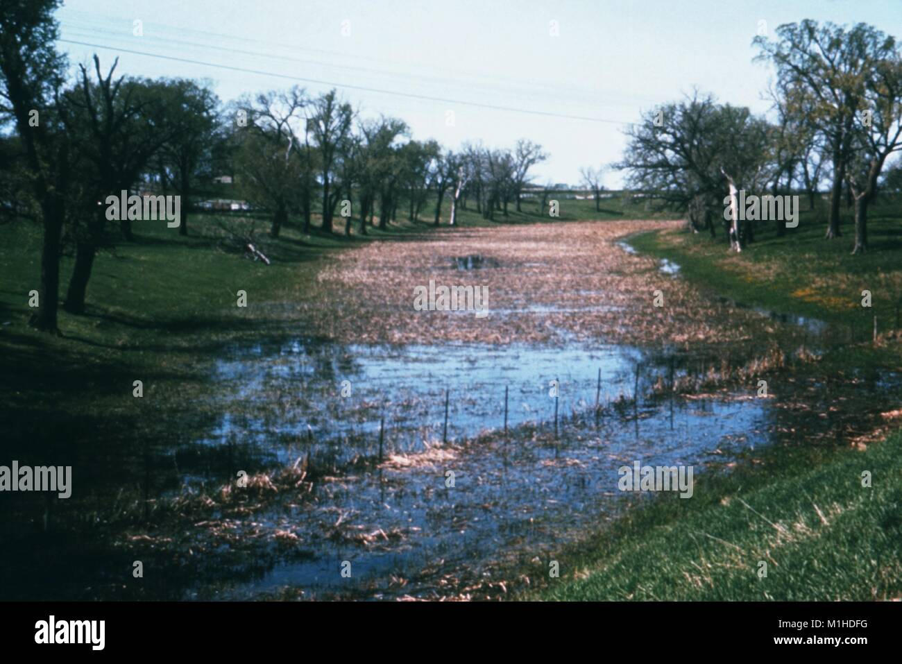 Photographie d'un paysage en forme de U Oxbow Bend dans une végétation peu profonde rivière bordée d'arbres, pris dans le cadre d'une enquête sur les maladies à transmission vectorielle, la rivière Rouge du Nord, au Minnesota, 1976, 1976. Image courtoisie CDC. () Banque D'Images Photographie d'un paysage en forme de U Oxbow Bend dans une végétation peu profonde rivière bordée d'arbres, pris dans le cadre d'une enquête sur les maladies à transmission vectorielle, la rivière Rouge du Nord, au Minnesota, 1976, 1976. Image courtoisie CDC. () Banque D'Images