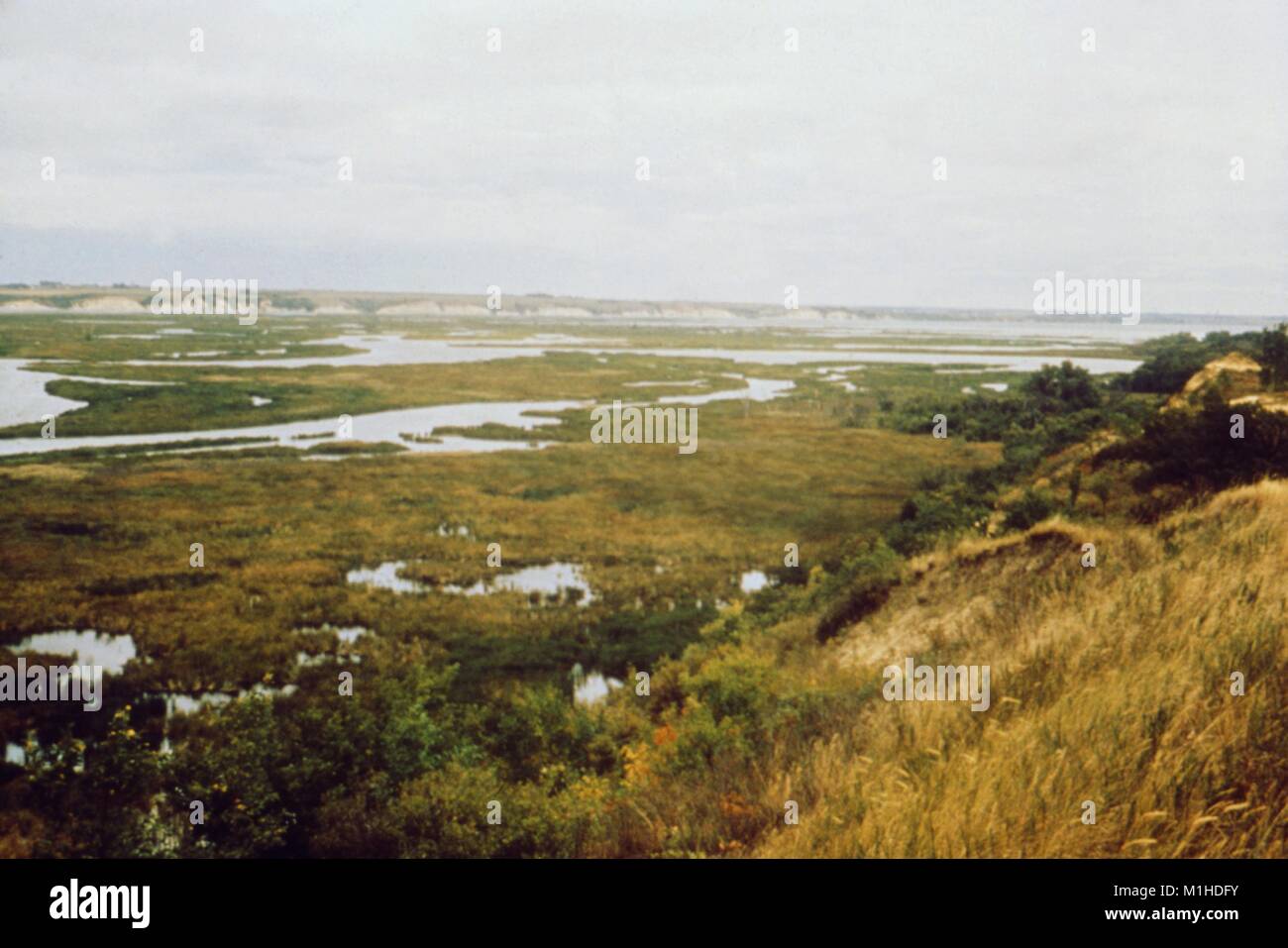 Photographie de paysage d'un réservoir du lac marécageux, avec bluffs visible dans l'avant-plan et arrière-plan, pris dans le cadre d'une enquête sur les maladies à transmission vectorielle, Lewis et Clark Lake, New York, 1976, 1976. Image courtoisie CDC. () Banque D'Images Photographie de paysage d'un réservoir du lac marécageux, avec bluffs visible dans l'avant-plan et arrière-plan, pris dans le cadre d'une enquête sur les maladies à transmission vectorielle, Lewis et Clark Lake, New York, 1976, 1976. Image courtoisie CDC. () Banque D'Images