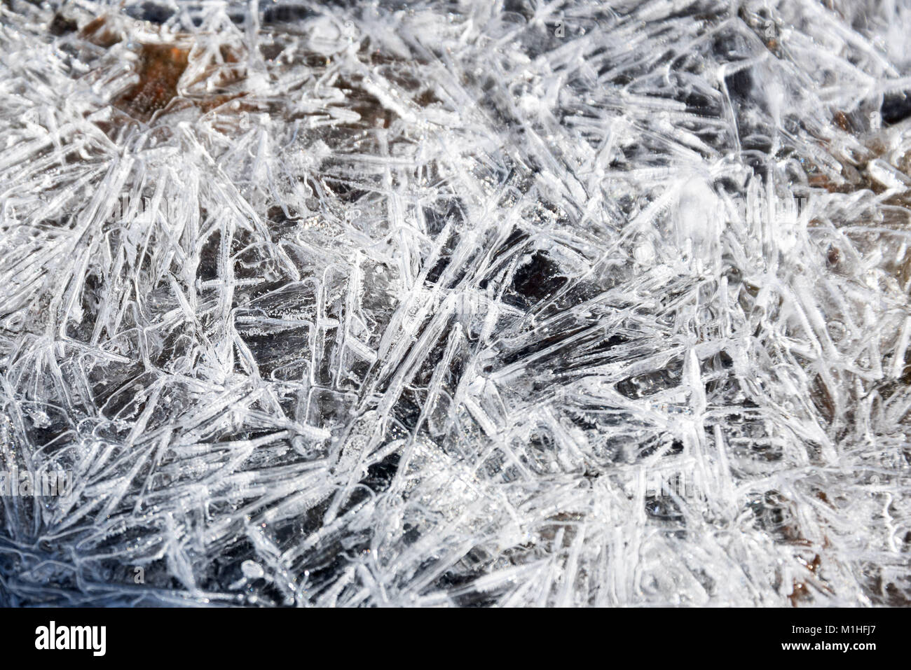 Vue rapprochée d'un treillis de cristaux de glace qui se forme sur un ruisseau de Northeast Harbor, Maine. Banque D'Images