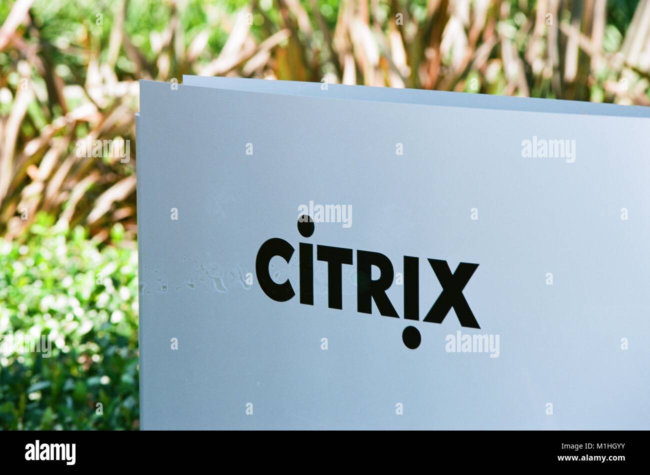 Close-up de signer avec logo pour les entreprises américaines de logiciels d'entreprise Citrix dans la Silicon Valley, Santa Clara, Californie, 17 août 2017. () Banque D'Images