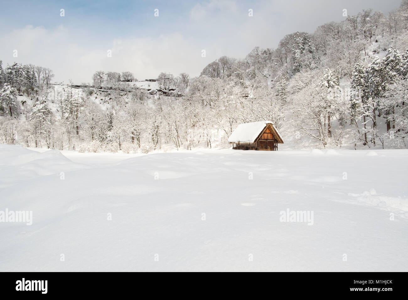 Villages historiques de Shirakawa-go et Gokayama, au Japon. L'hiver à Shirakawa-go, le Japon. Style traditionnel dans des huttes Gassho-zukuri, Village Shirakawago et Banque D'Images