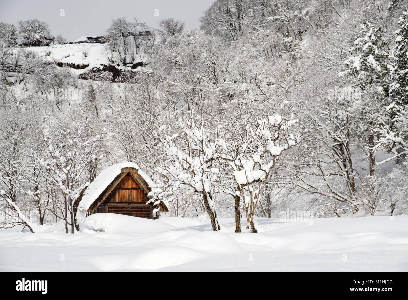 Villages historiques de Shirakawa-go et Gokayama, au Japon. L'hiver à Shirakawa-go, le Japon. Style traditionnel dans des huttes Gassho-zukuri, Village Shirakawago et Banque D'Images