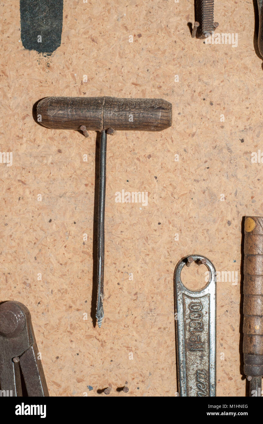 Vrille sur un vieux mur en bois Banque D'Images