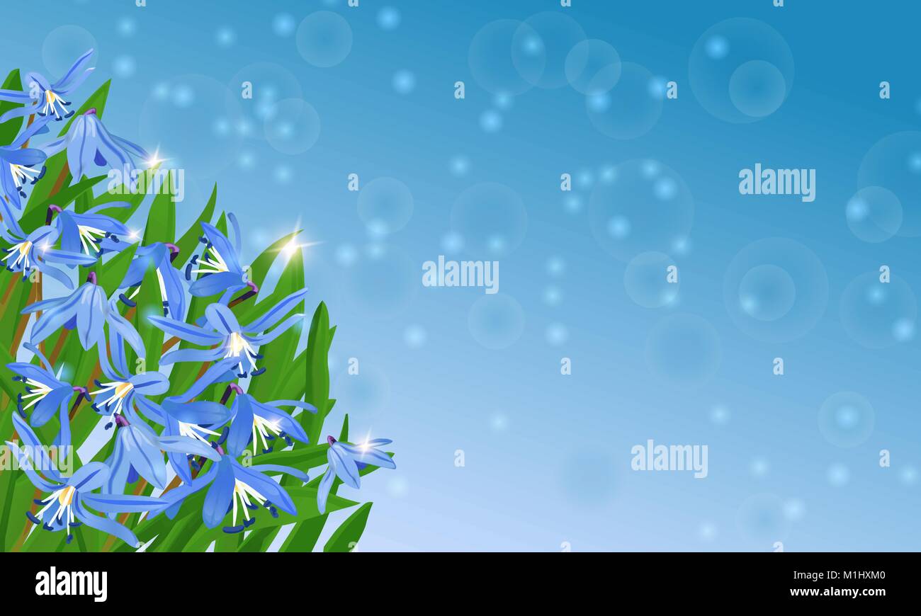 Carte bleue avec fleurs de printemps Squill, Scylla avec bokeh et brillant Illustration de Vecteur