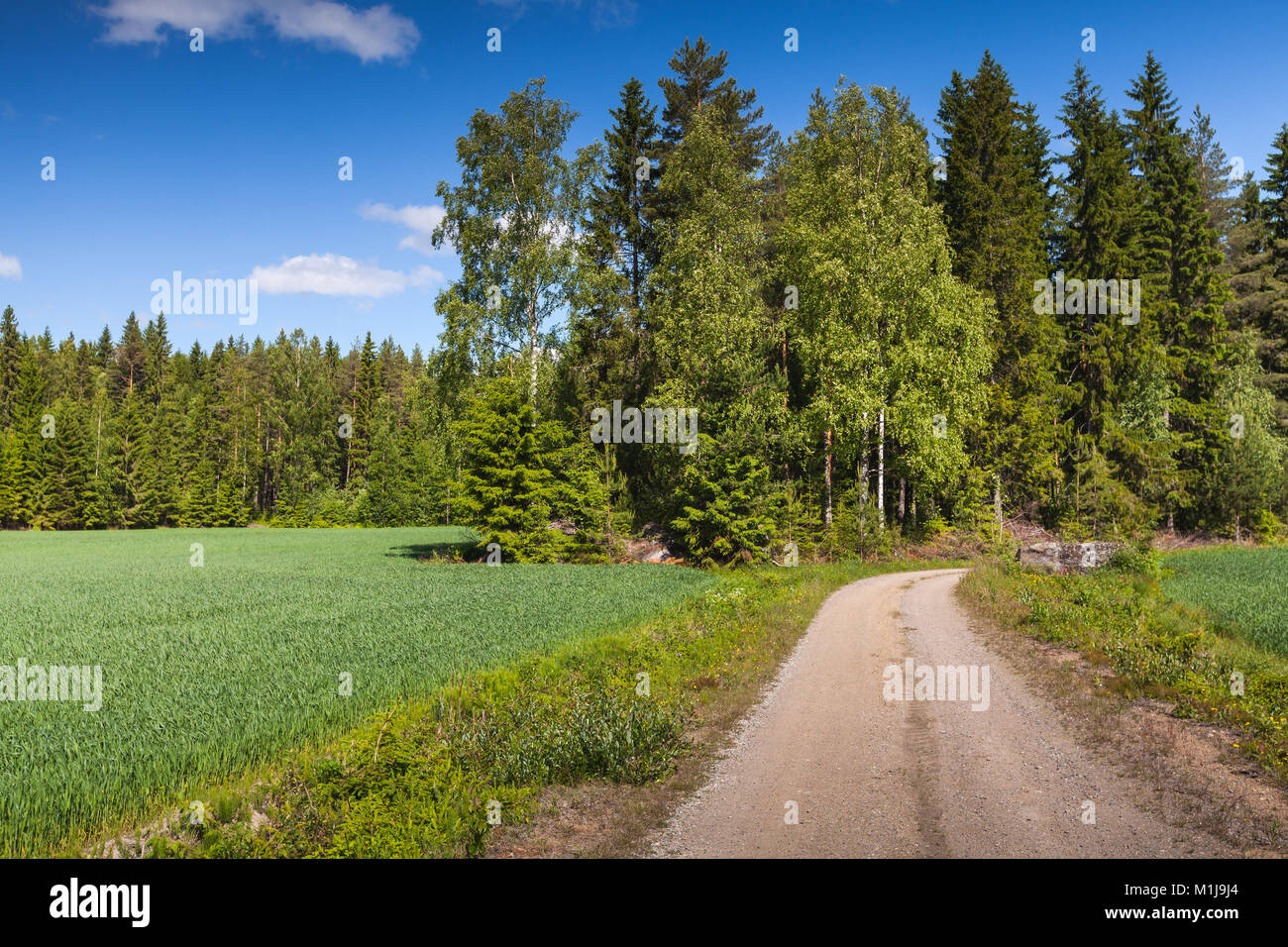 Le tournant de la route en milieu rural vide va près de green field under blue sky en plein jour d'été. Contexte photo paysage vide, Finlande Banque D'Images