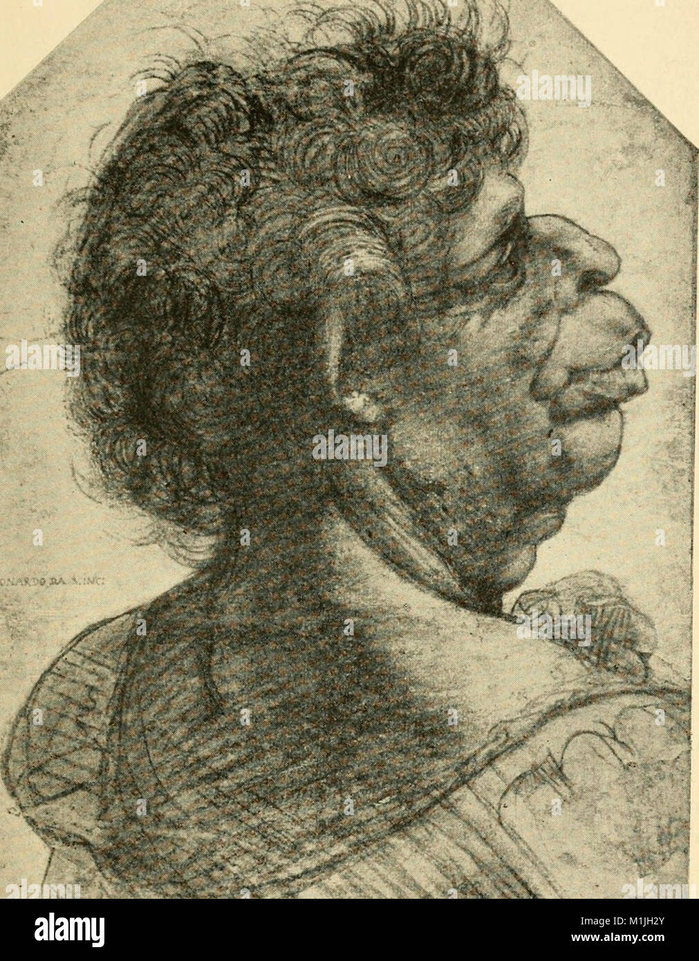Une tête grotesque, de Léonard de Vinci Banque D'Images