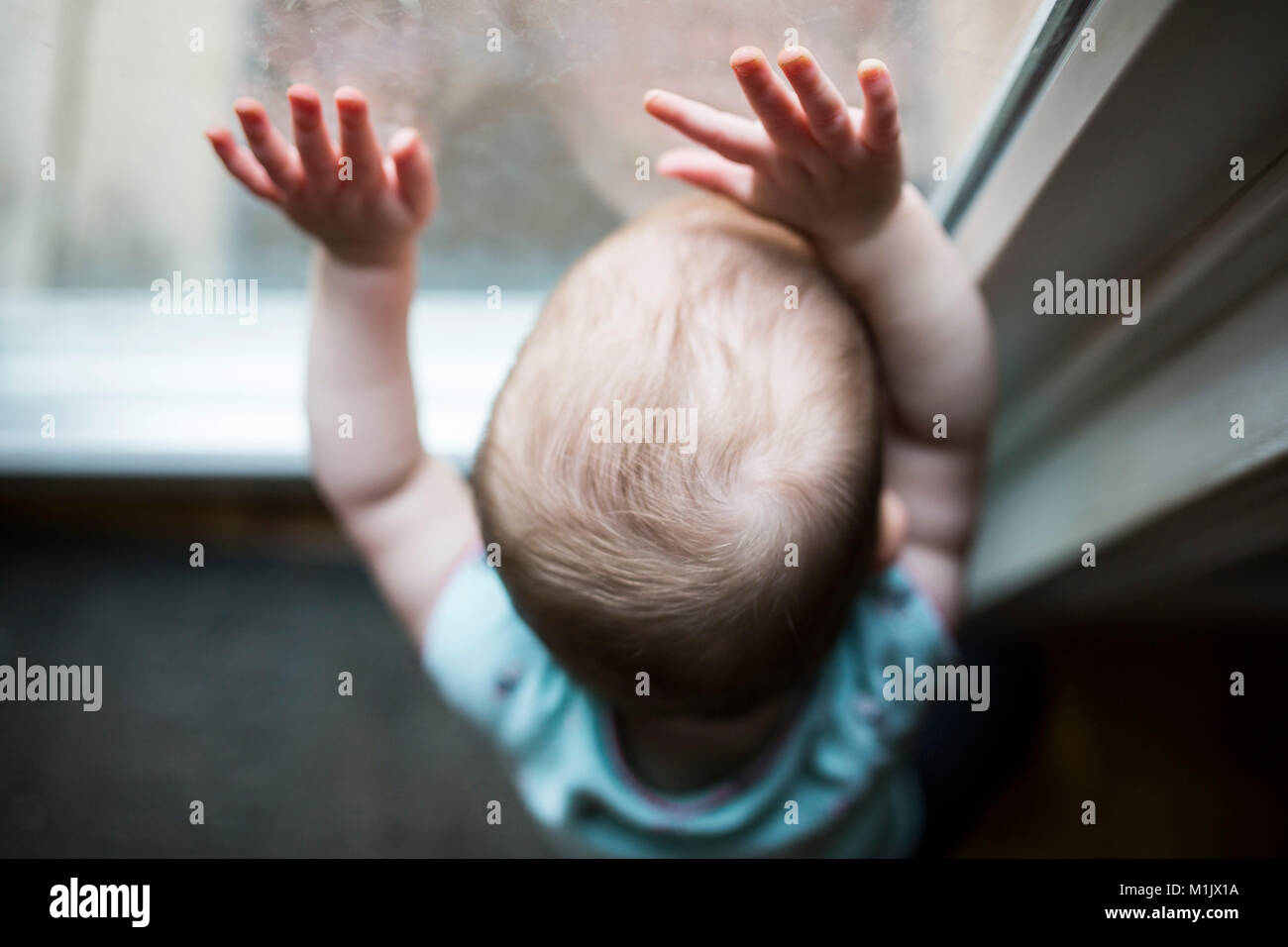 Portrait de bébé avec les mains sur la fenêtre Banque D'Images