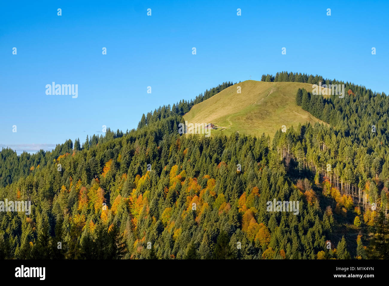Zwiesel près de Wackersberg avec Schnaiteralm en automne, Isarwinkel, Haute-Bavière, Bavière, Allemagne Banque D'Images