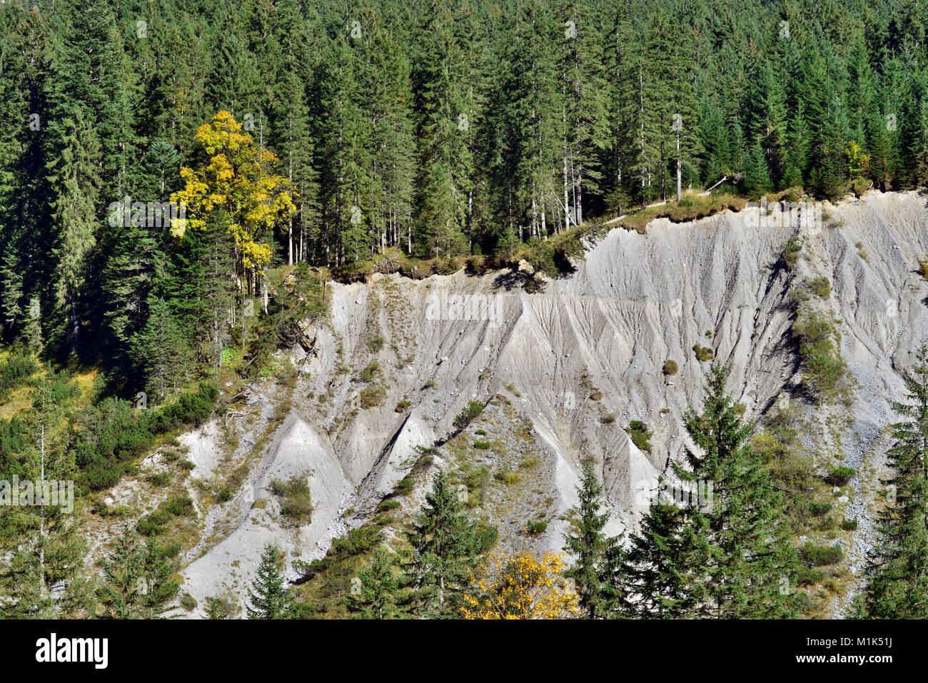 Paysage de forêt avec pente, l'érosion des Karwendel, Tyrol, Autriche Banque D'Images