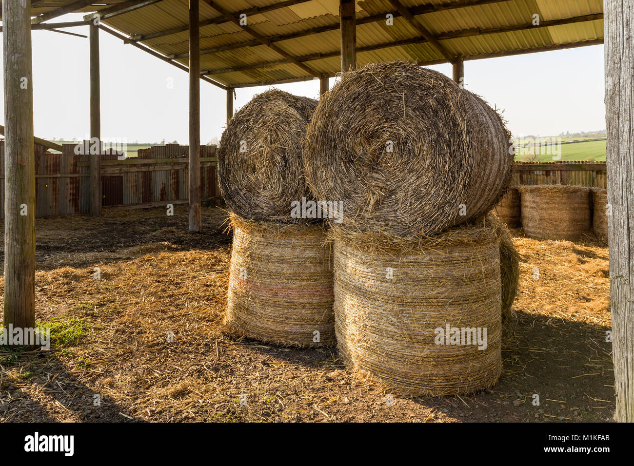 Une image montrant des balles de foin empilées dans une grange ouverte. Banque D'Images