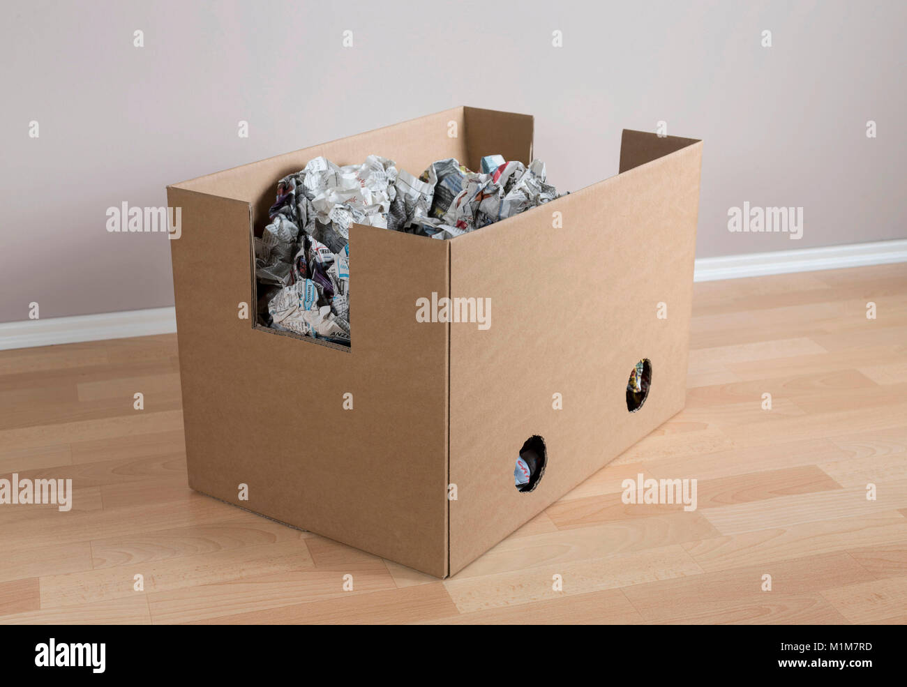 Les no de cat. Fort rempli de papier, beau jouet pour les chats. Allemagne Banque D'Images