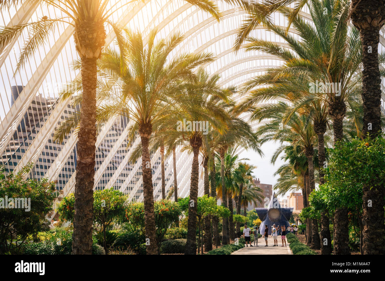 Valence, Espagne - juin 2, 2016 : jardin tropical avec des arbustes et de palmiers et des détails architecturaux de l'umbracle - galerie contenant les Vale Banque D'Images