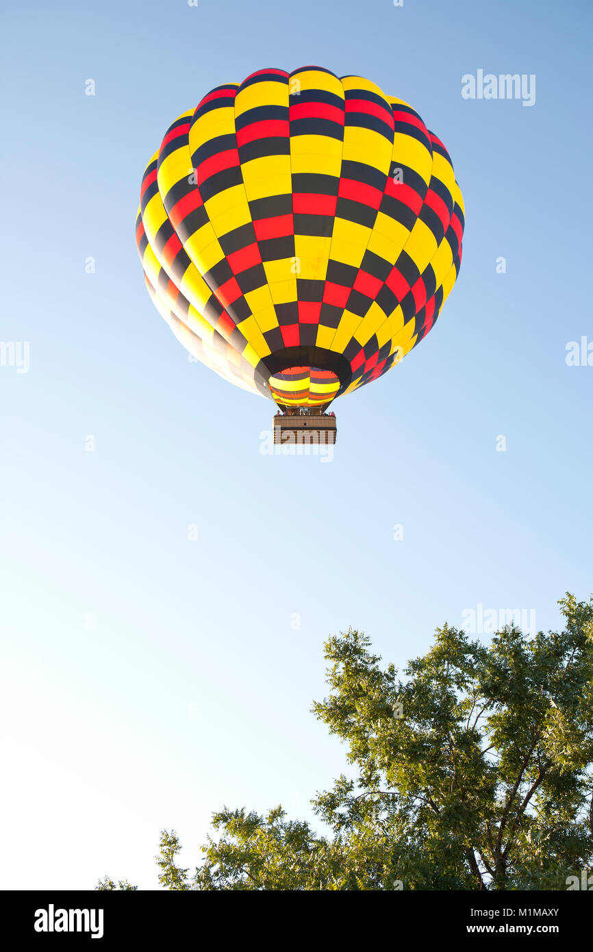 Montgolfières en vol avec des couleurs vibrantes contre tôt le matin, ciel bleu Banque D'Images