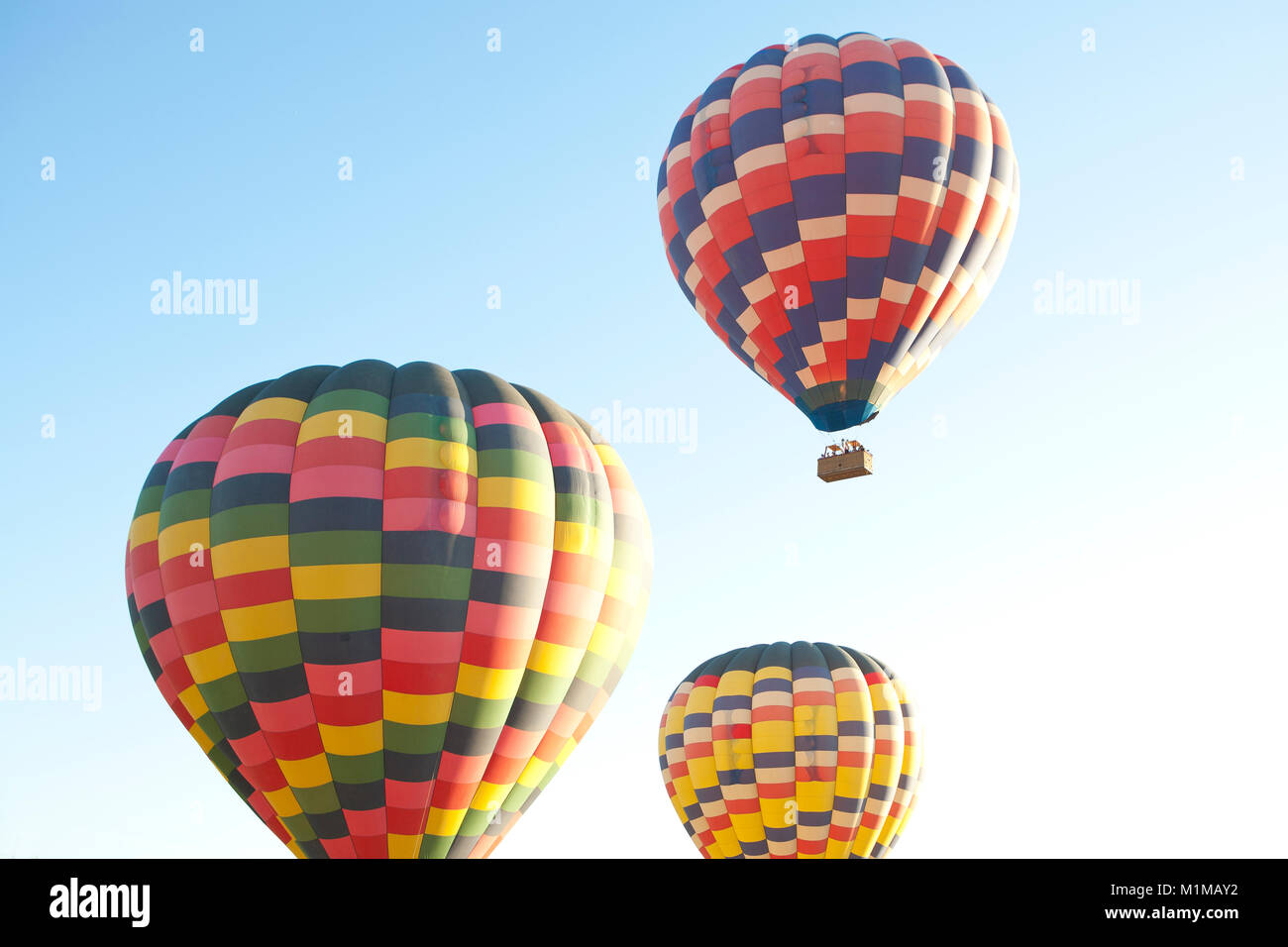 Montgolfières en vol avec des couleurs vibrantes contre tôt le matin, ciel bleu Banque D'Images