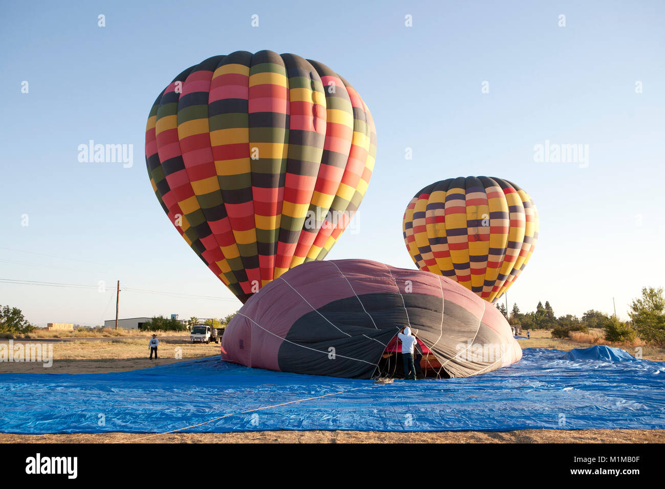 Montgolfières en vol avec des couleurs vibrantes contre tôt le matin, ciel bleu Banque D'Images